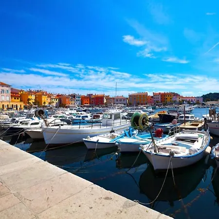 In Novigrad With Balcony, Air Conditioning شقة